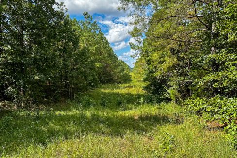 Hines Hollow Compass South Land Sales Tennessee-01