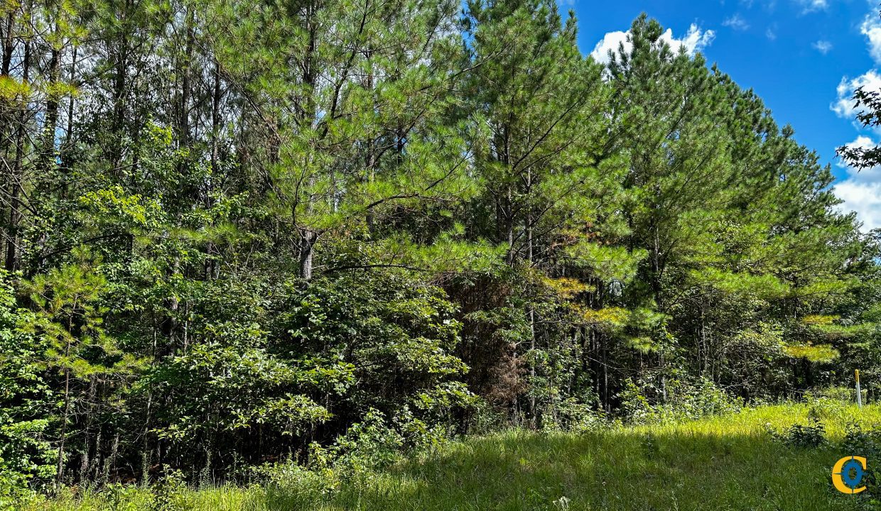 Hines Hollow Compass South Land Sales Tennessee-02