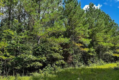 Hines Hollow Compass South Land Sales Tennessee-02