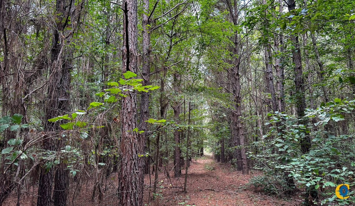 Hines Hollow Compass South Land Sales Tennessee-03