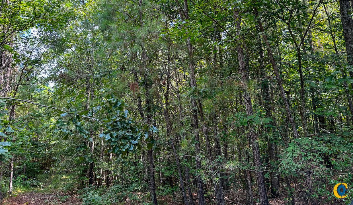 Hines Hollow Compass South Land Sales Tennessee-04