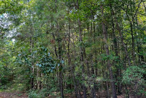 Hines Hollow Compass South Land Sales Tennessee-04