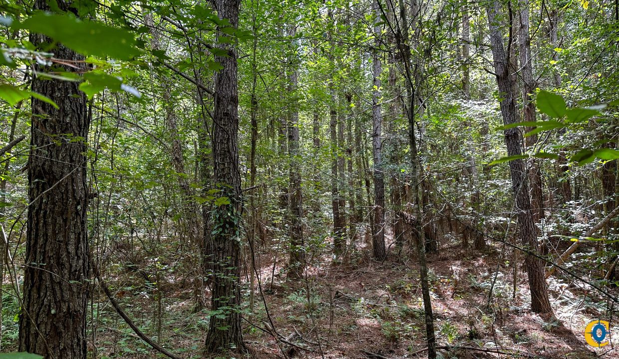 Hines Hollow Compass South Land Sales Tennessee-10