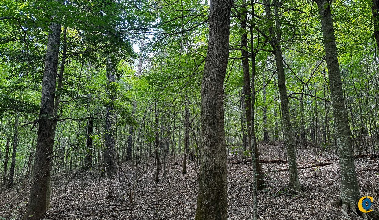 Hines Hollow Compass South Land Sales Tennessee-11