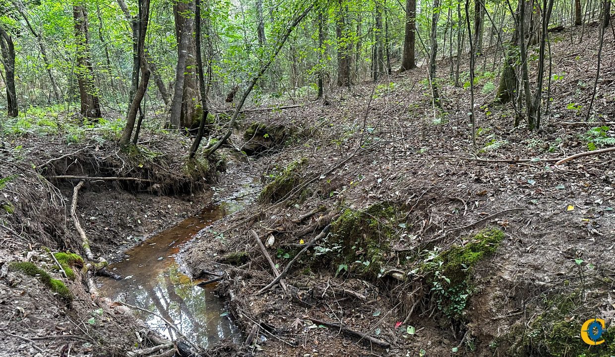 Hines Hollow Compass South Land Sales Tennessee-13