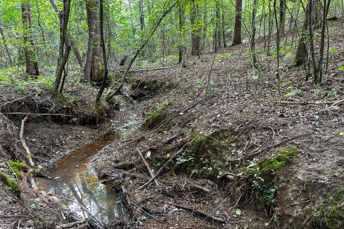 Hines Hollow Compass South Land Sales Tennessee-13