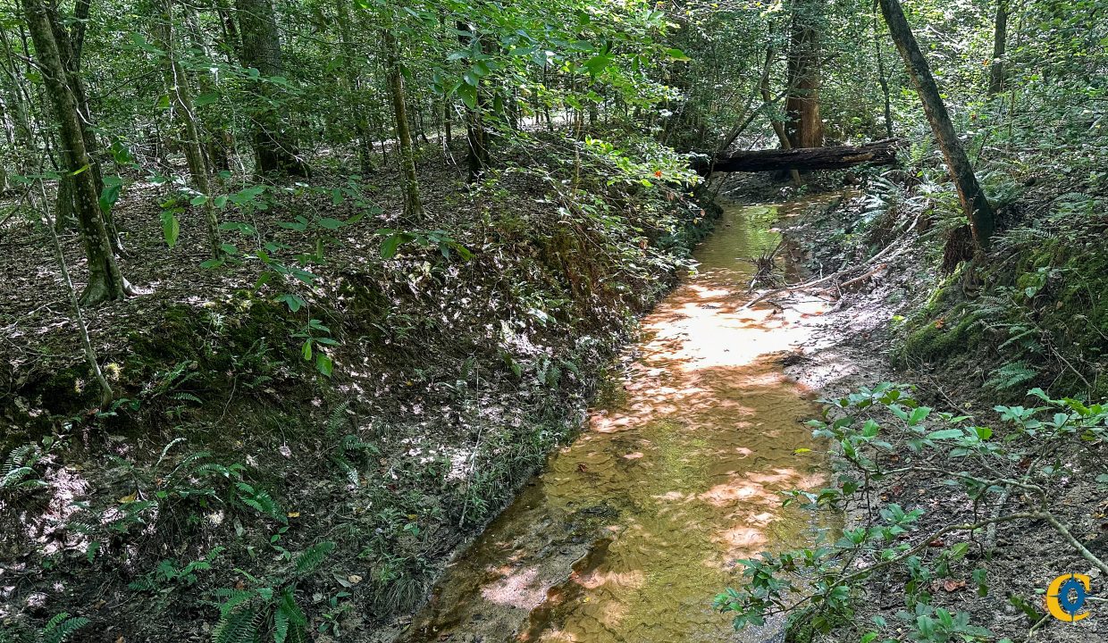 Hines Hollow Compass South Land Sales Tennessee-15