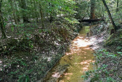 Hines Hollow Compass South Land Sales Tennessee-15