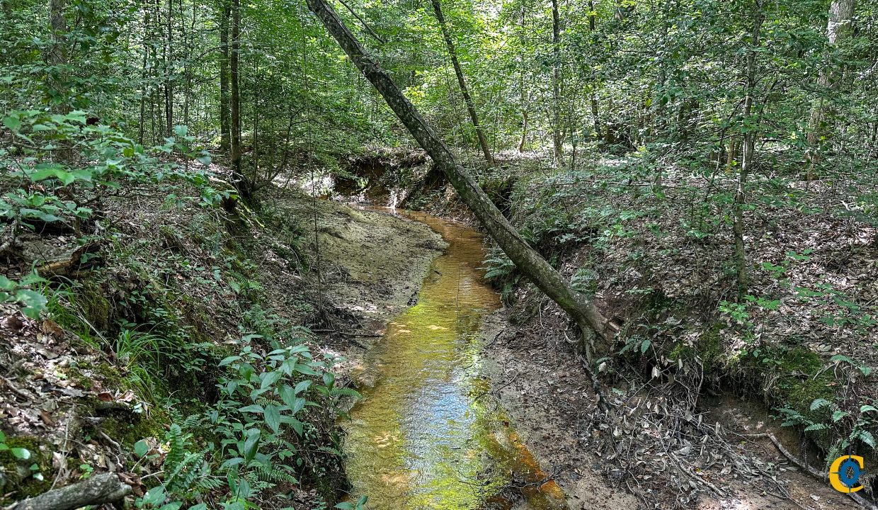 Hines Hollow Compass South Land Sales Tennessee-16
