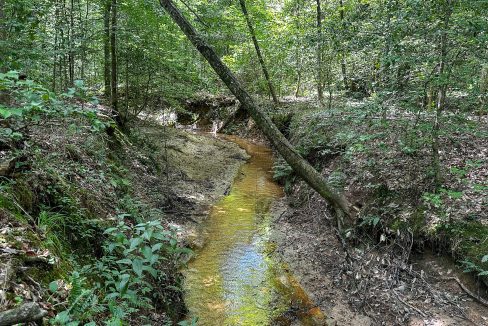 Hines Hollow Compass South Land Sales Tennessee-16
