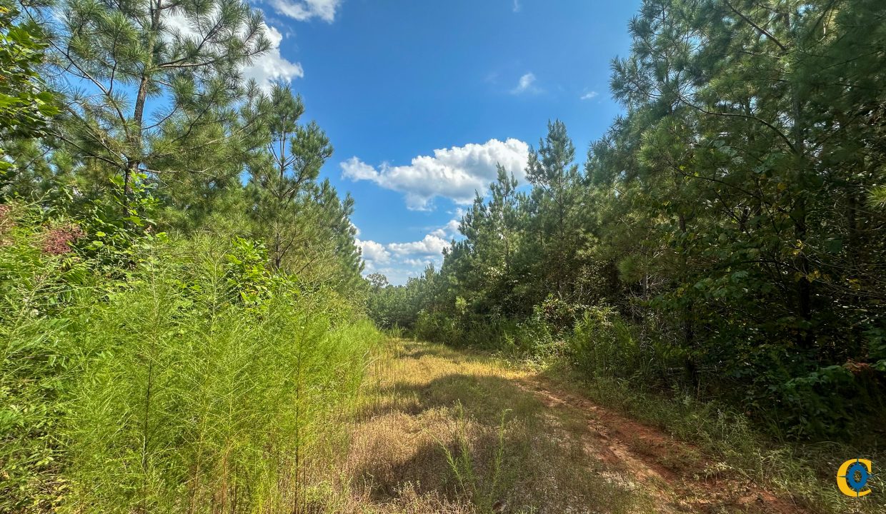 Jenneatte Retreat Compass South Land Sales Tennessee-12