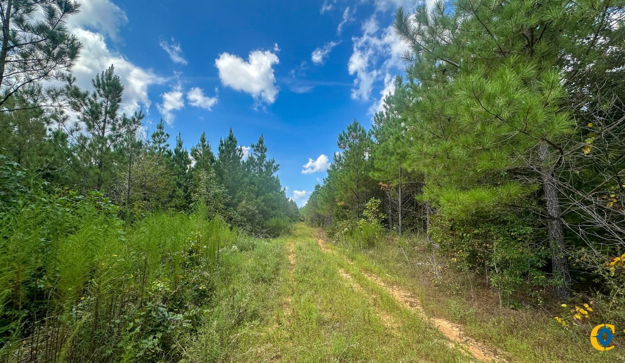 Jenneatte Retreat Compass South Land Sales Tennessee-13