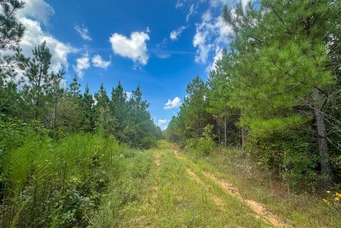 Jenneatte Retreat Compass South Land Sales Tennessee-13