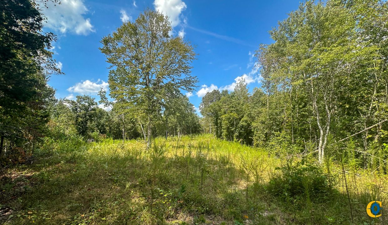 Jenneatte Retreat Compass South Land Sales Tennessee-18