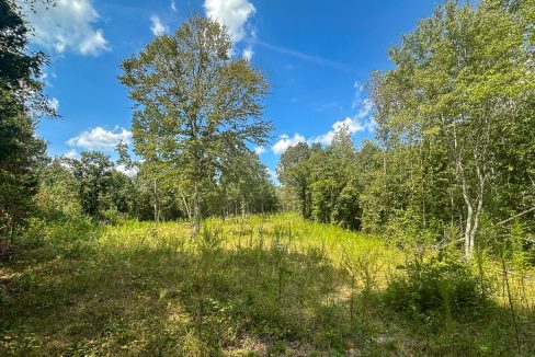 Jenneatte Retreat Compass South Land Sales Tennessee-18