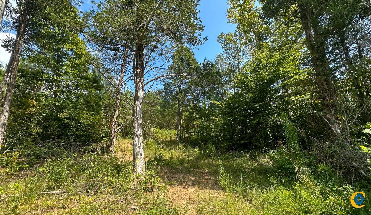 Jenneatte Retreat Compass South Land Sales Tennessee-19