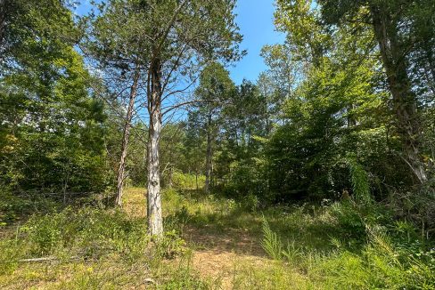 Jenneatte Retreat Compass South Land Sales Tennessee-19