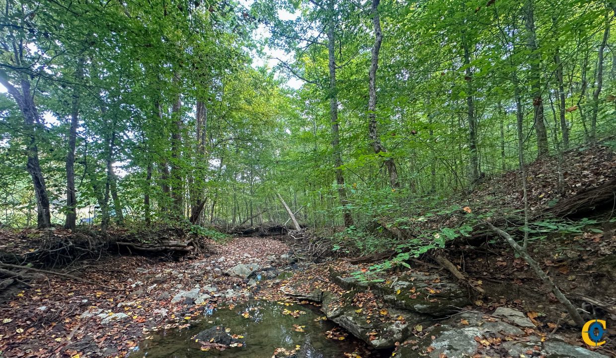 Jenneatte Retreat Compass South Land Sales Tennessee-23