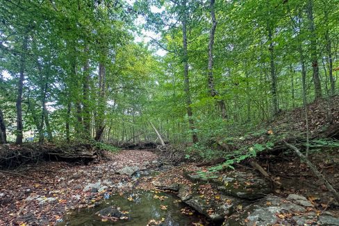 Jenneatte Retreat Compass South Land Sales Tennessee-23