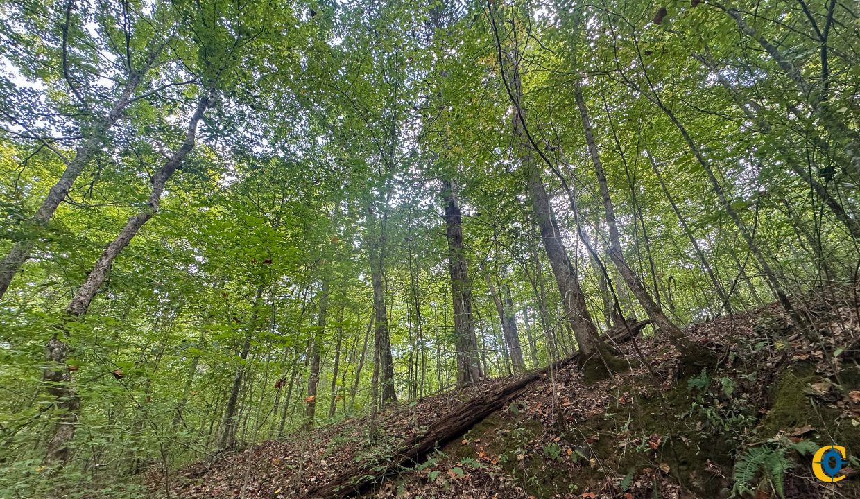 Jenneatte Retreat Compass South Land Sales Tennessee-24