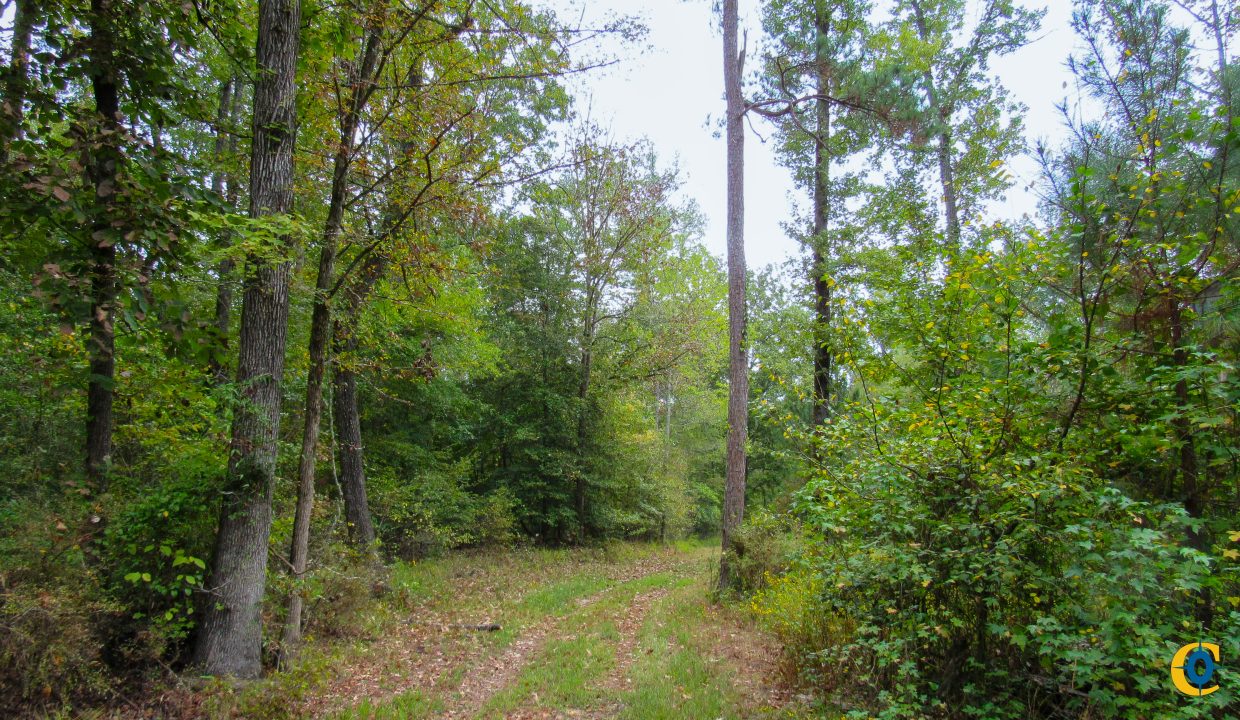 Mount Elba Compass South Land Sales Arkansas-02