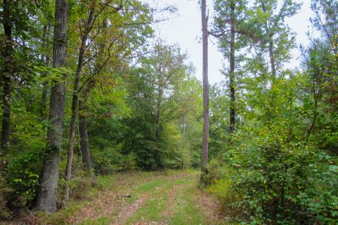 Mount Elba Compass South Land Sales Arkansas-02