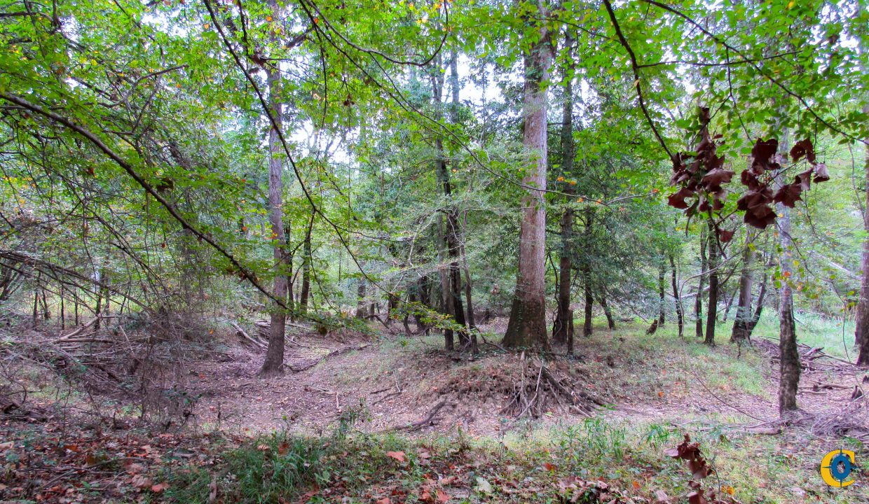 Mount Elba Compass South Land Sales Arkansas-09