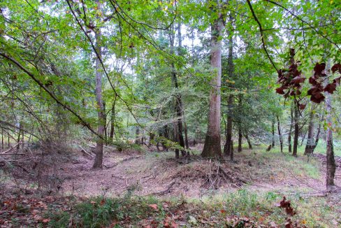 Mount Elba Compass South Land Sales Arkansas-09