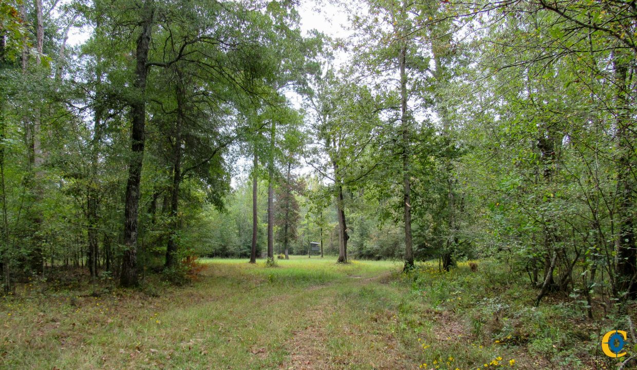 Mount Elba Compass South Land Sales Arkansas-10