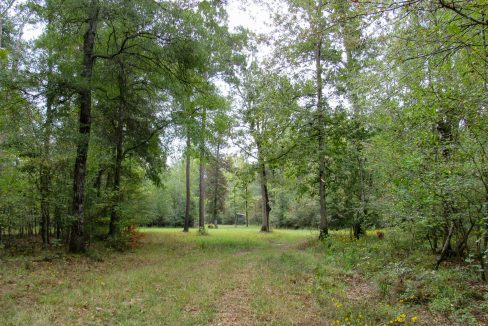 Mount Elba Compass South Land Sales Arkansas-10