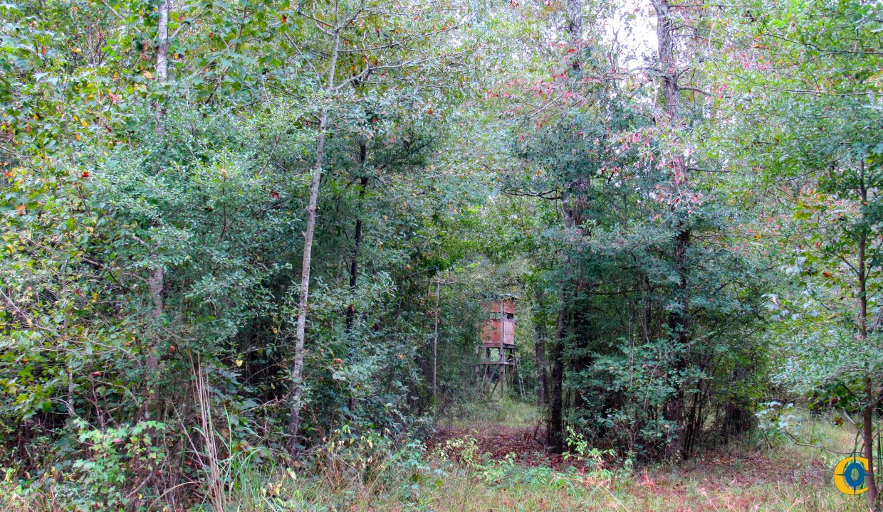 Mount Elba Compass South Land Sales Arkansas-11